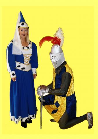 damsel knight costumes