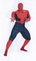 Supa-Spiderman3.jpg