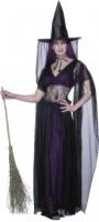<h2>Spider witch</h2><p>Â£20 to hire (Fri-Mon) plus Â£20 deposit payable on debit/credit card (refunded on return of costume)<br></p>