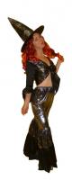 <h2>Disco witch</h2><p>Disco witch<br>Â£18 to hire (Fri-Mon) plus Â£20 deposit payable on debit/credit card (refunded on return of costume)<br></p>